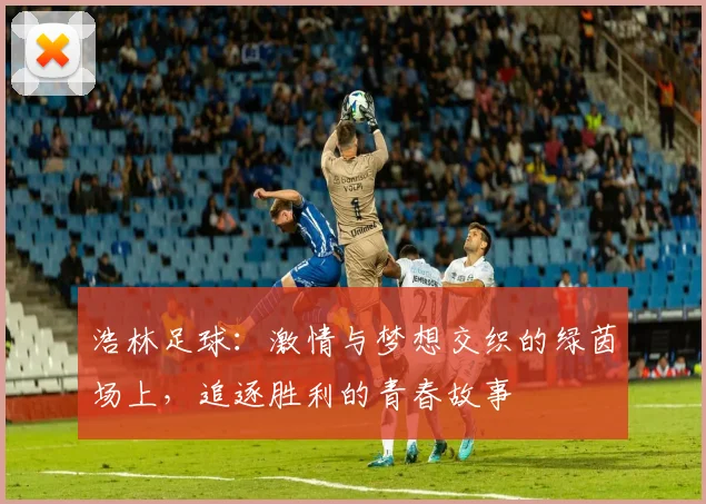 浩林足球：激情与梦想交织的绿茵场上，追逐胜利的青春故事