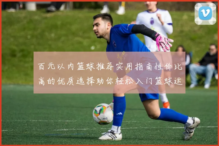 百元以内篮球推荐实用指南性价比高的优质选择助你轻松入门篮球运动