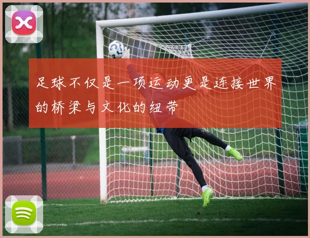 足球不仅是一项运动更是连接世界的桥梁与文化的纽带