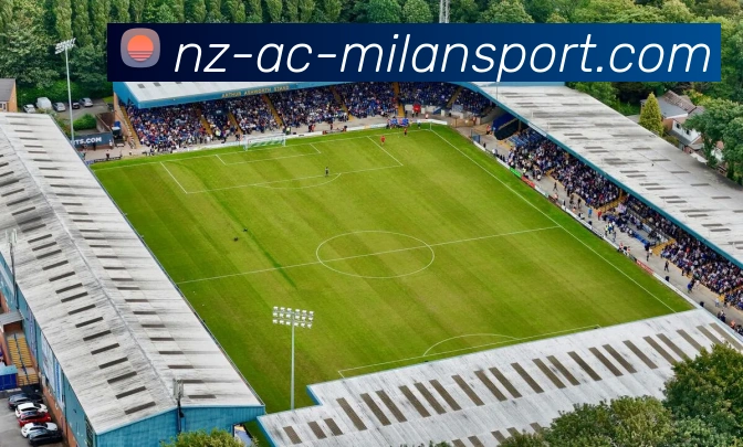 多媒体互动体验